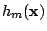 $h_m({\bf x})$